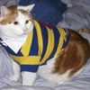 Stuart C.